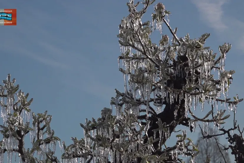 277800261 549226380155023 6953352642748773203 n