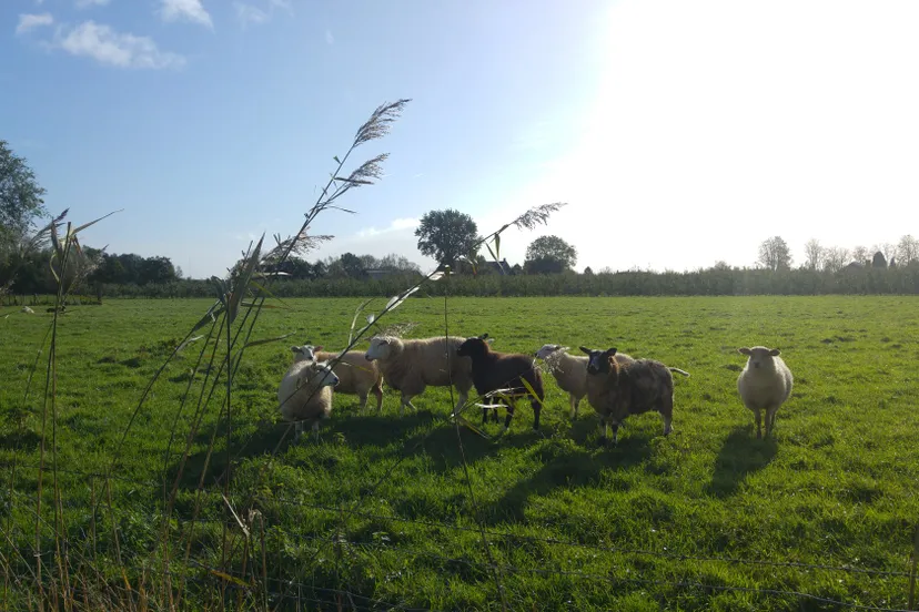 28424093 1607102902698772 2899861615111522718 o