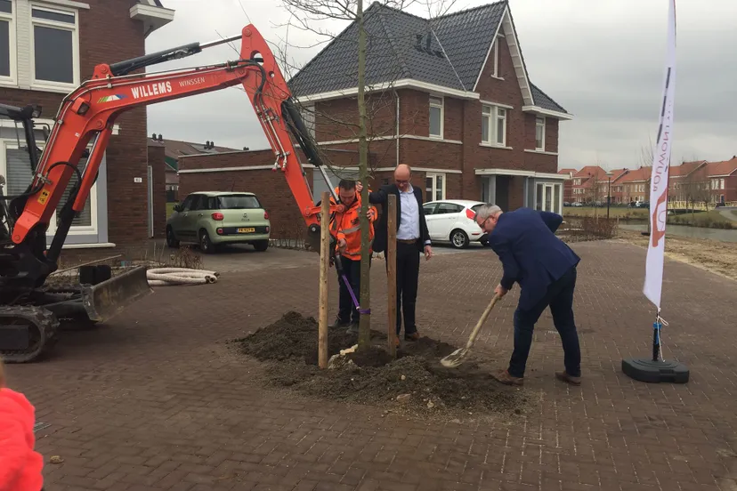 28698627 1537220246333196 5466403554243497154 o