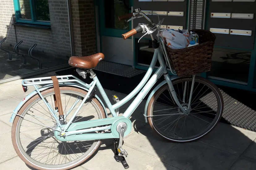 29665185 1599486573437723 6090111799914434486 o