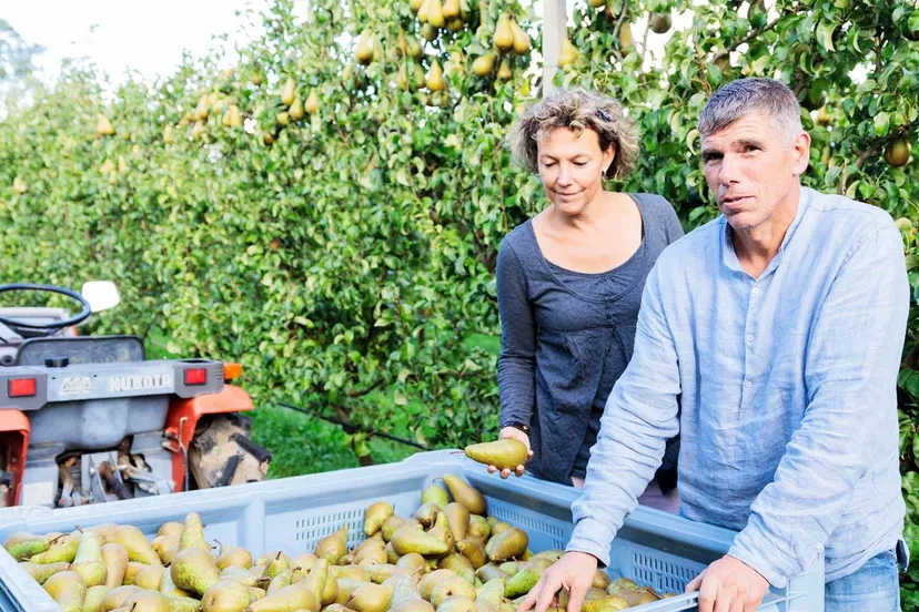 298344633 541219987800537 4124247852438820210 n