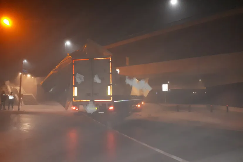 30594353 1865945123439448 7867984253496066048 o