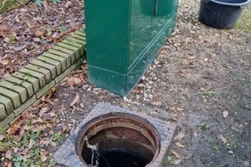 323054339 828724124869832 7025779872729381981 n