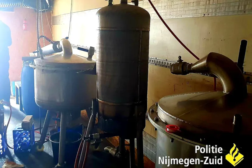 36877500 1168576413318570 2581794778240778240 o