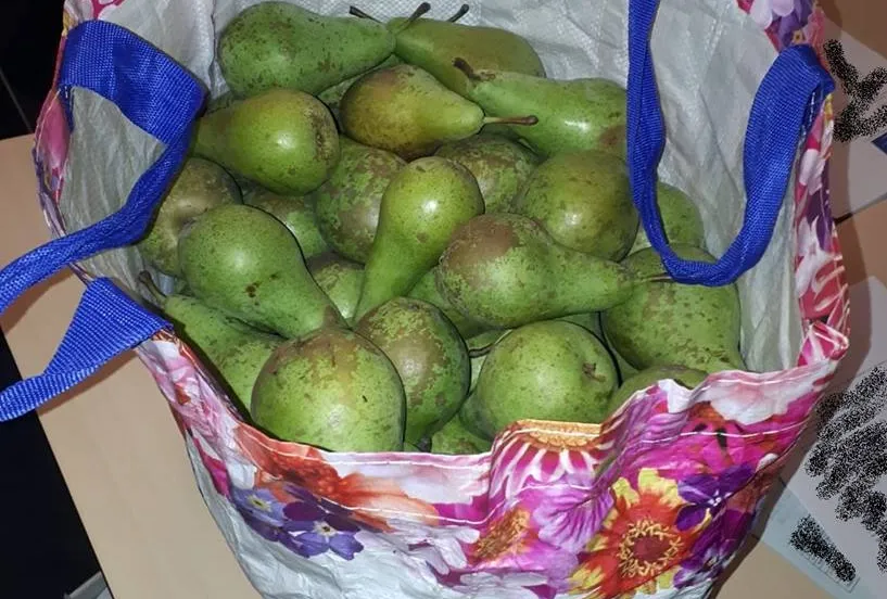 40469227 1794015540651491 8201524885353136128 n