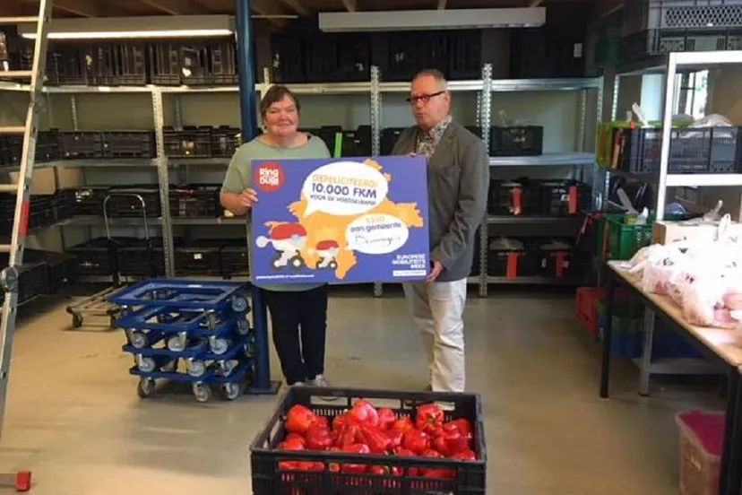 44293328 1803539686367916 1054351197709795328 n