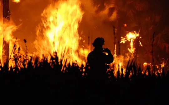 4796 fullimage bosbrand