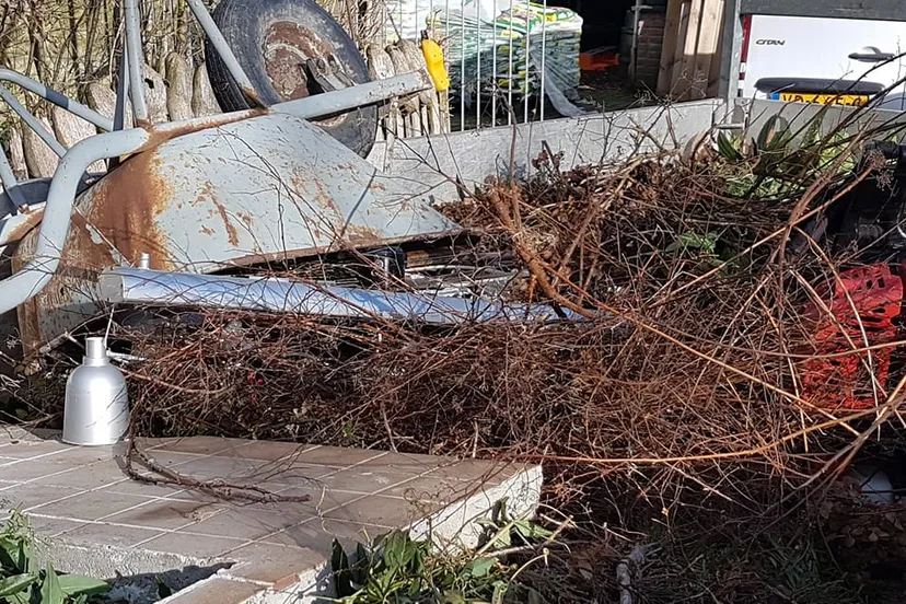 53302268 2040693275983715 8525389290899767296 o