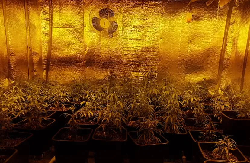 54515873 2063947326991643 7541241000090402816 n