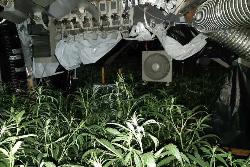 56483232 2076048729114836 5856707500354568192 o