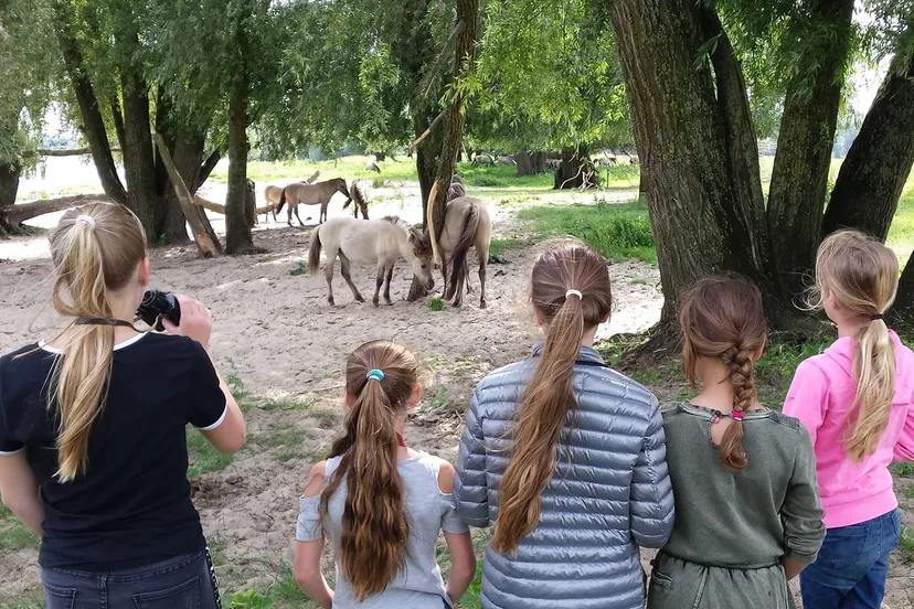 59481803 2311723842244087 275723594594516992 o