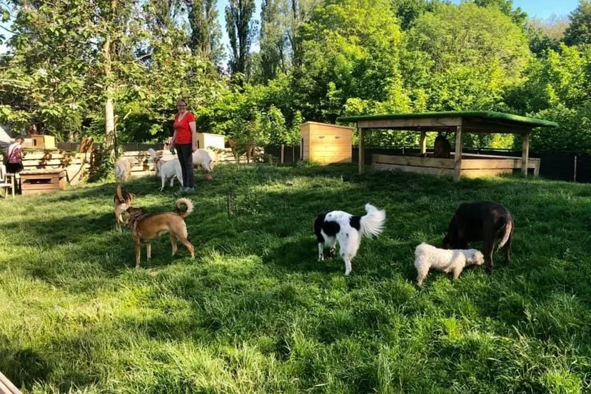 5a0afb1e35a449d390b318f9040be011