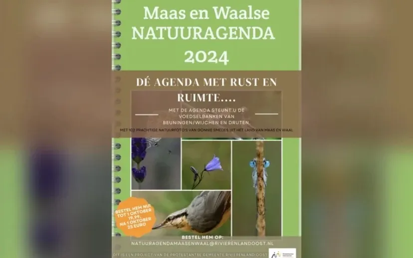 5d2c210a 9fe1 432d 9cad dcf14dab3957 thumb840 915x518 1