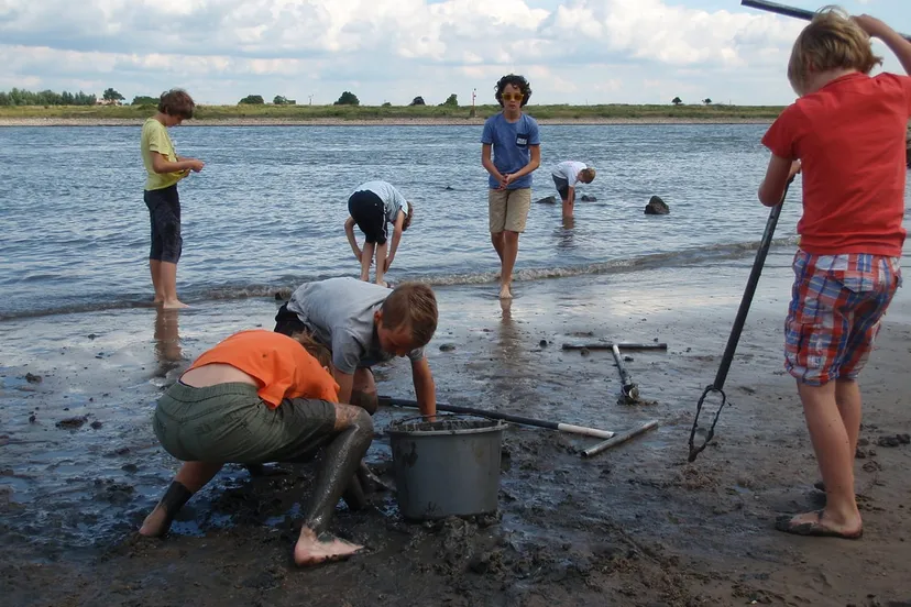 60512570 2324355100980961 8197672355523198976 n