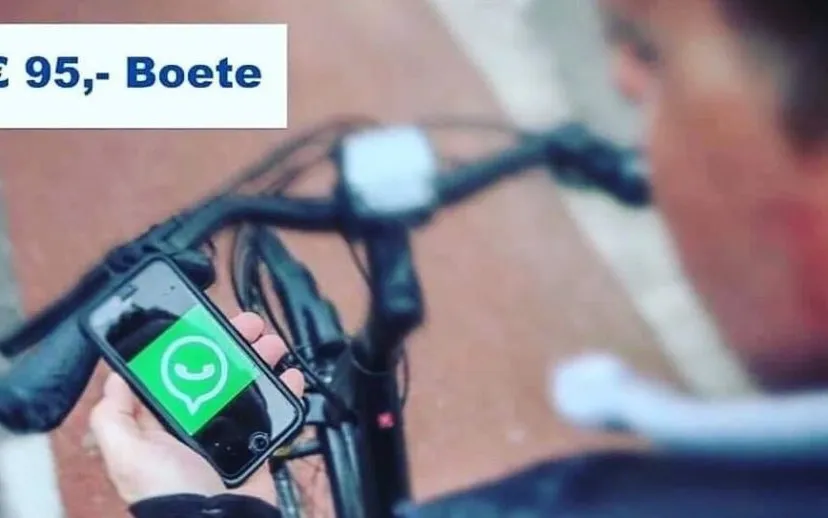 61647786 1535307183271341 5604445727255166976 n 915x518