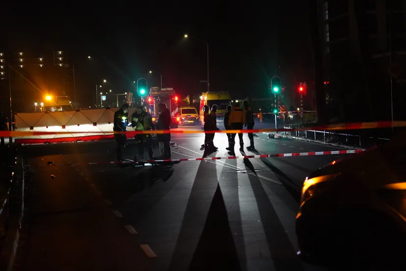 62ef6f0e 867d 49b4 b16e 08d22005d0d2