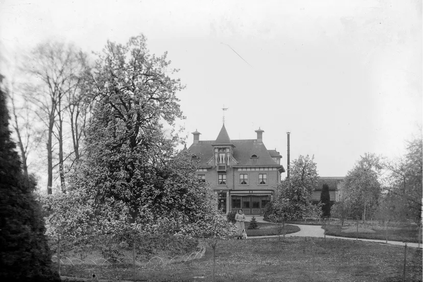 64294415 2141513755903839 9196894216309964800 o