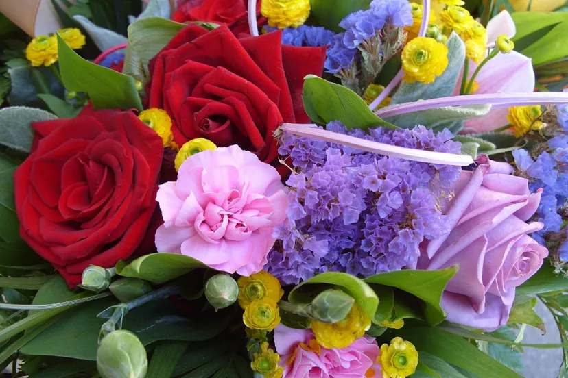 64947202 2150164278372120 1690149805130514432 o