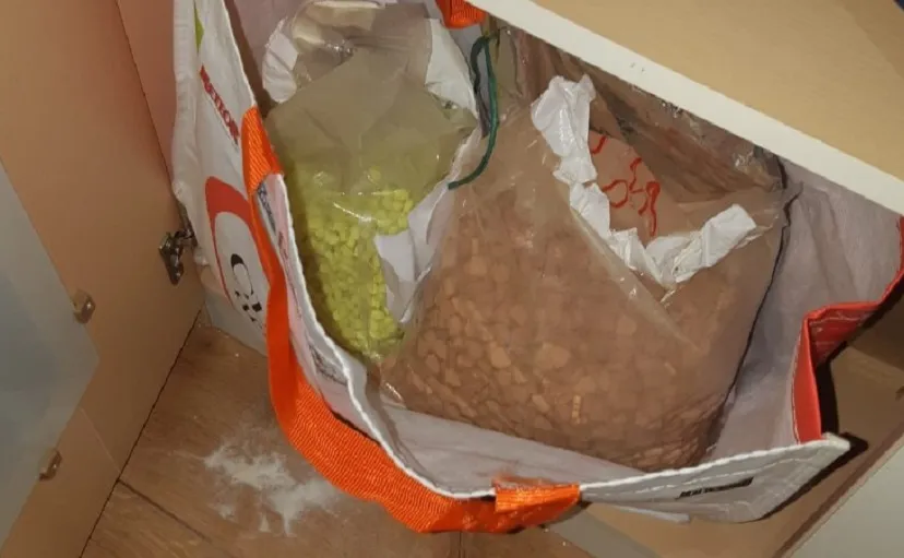 69226169 2304413902944983 5795183128926486528 n