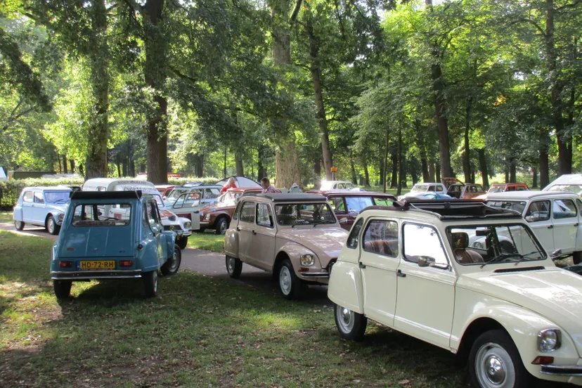 69390717 3080674755307491 3190995757003964416 o