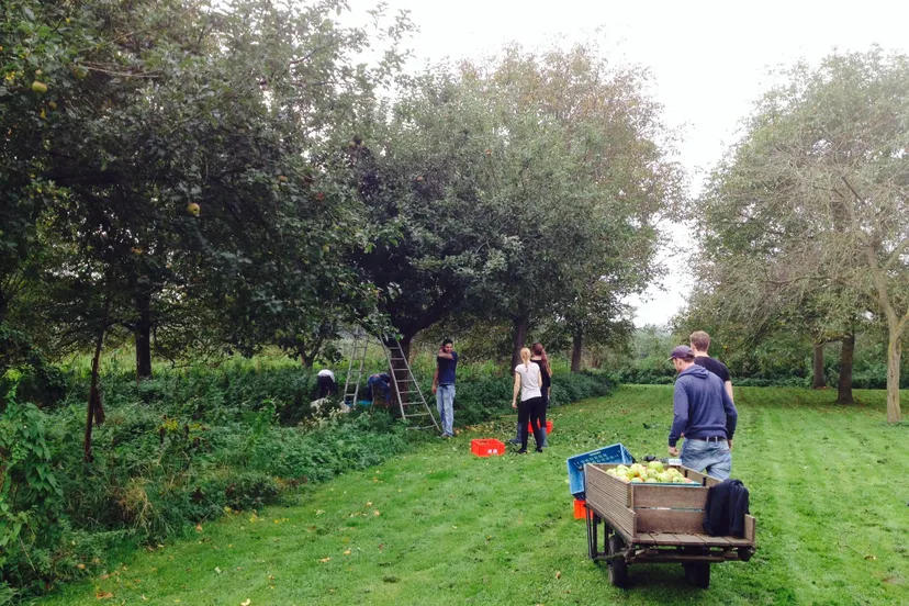 72379195 2626182647403356 8570575542309355520 o