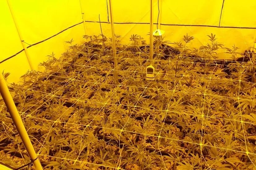 75328775 2463782607008111 3364842495409127424 n