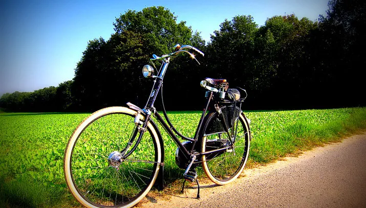 7666959994 1ec331816b b 715x408