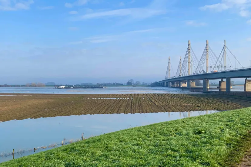 85140612 2914135715349848 8028403562629300224 o