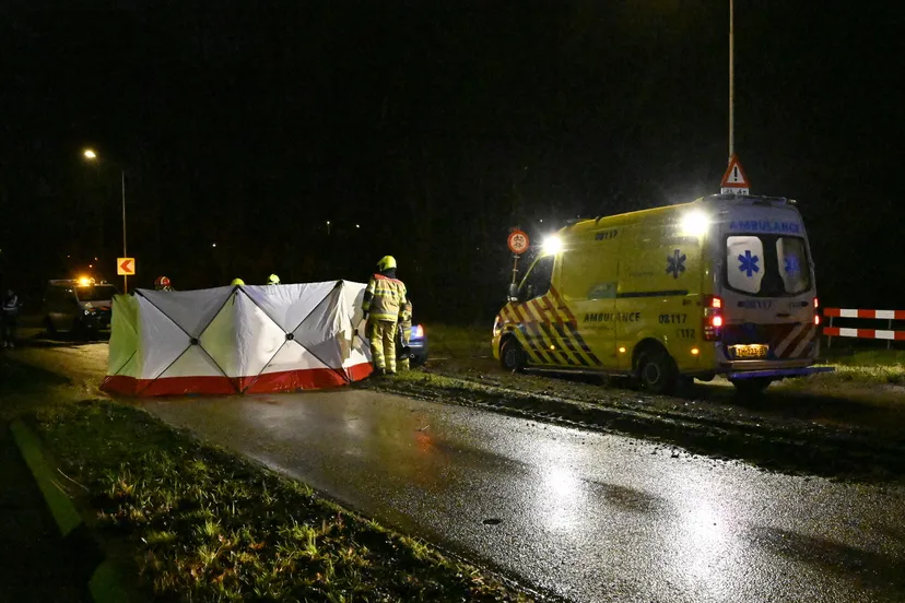 878ae6eb 92ba 4b74 8172 fe857d322cdf