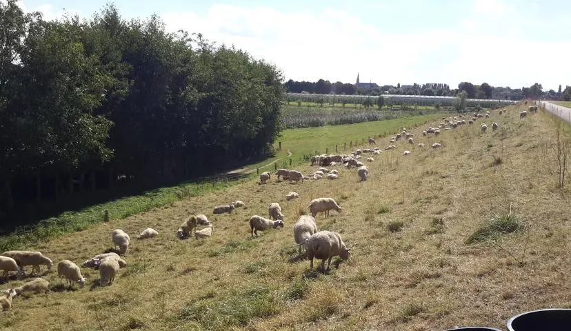 8890da2f a027 4009 871f 458b62c3ff95