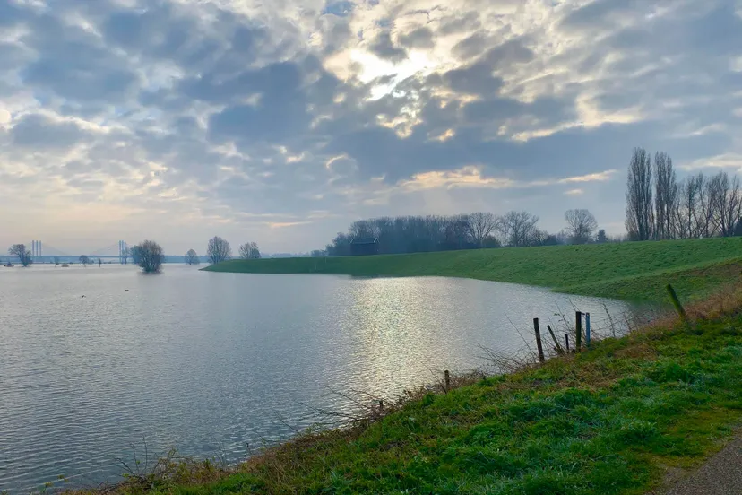 89719116 2914135652016521 3745781480106754048 o