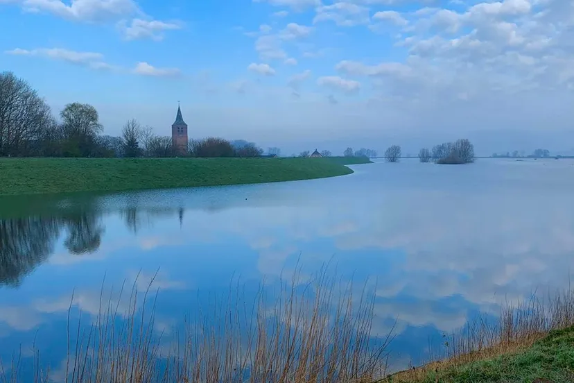 89846908 2914135582016528 1487432064633405440 o