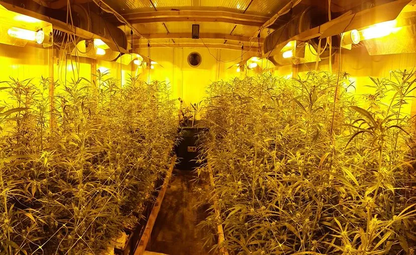 92234236 2772515499468152 5156521741119389696 o