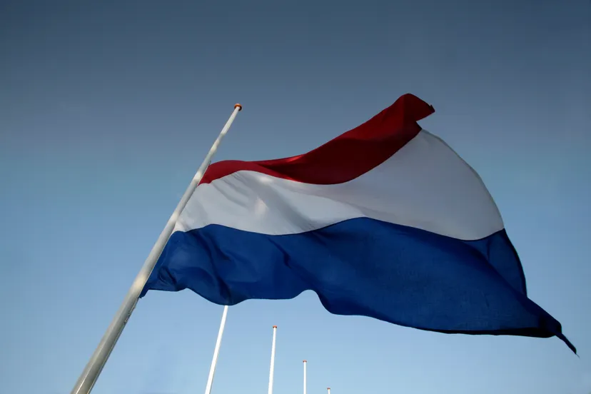 95960076 2781164475272094 1759733510890848256 o