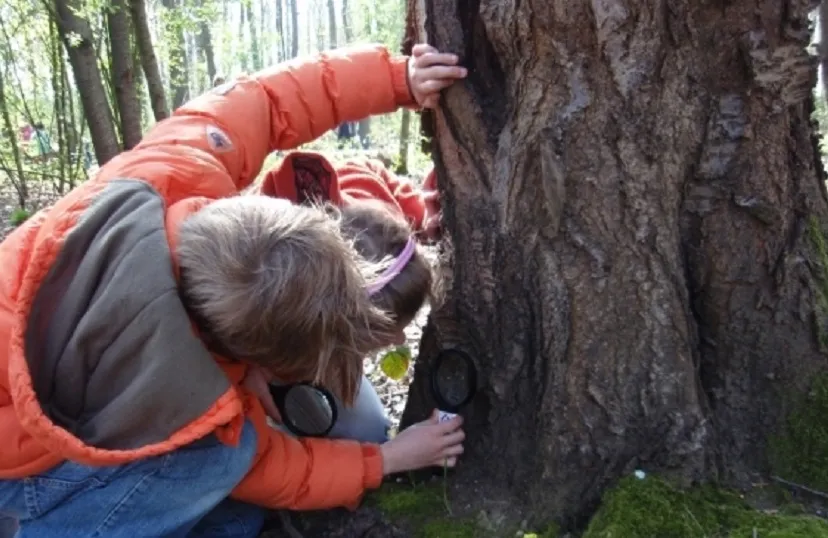 9620baaf 52df 4599 b40f 13aeea7e9636