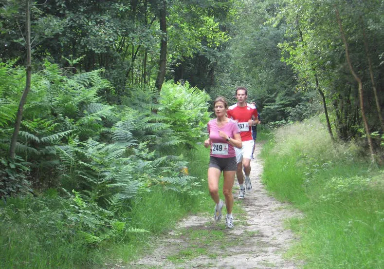 a4uh639ki6b8er7z8e5mpd01s 69595