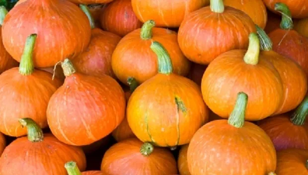 a720kwg4yir5idj0qf7onhij6 id 10026348chokphoto freedigitalphotos net 620