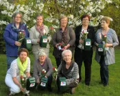 aapne36wvuv2ig4s36bko2tbf 230900