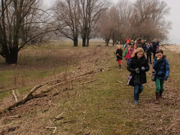 abqvbi2wxuhkgnc1js25brun9 fotodijkm2014 03 12wrakhoutmonsters