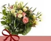 ae63tesazo4tmxth5w7s9sdi0 222171