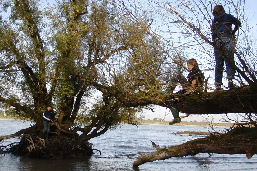 afjq8k0rg9gquxwlxq4b5t6j4 fotodijkm2014 05 04struintocht