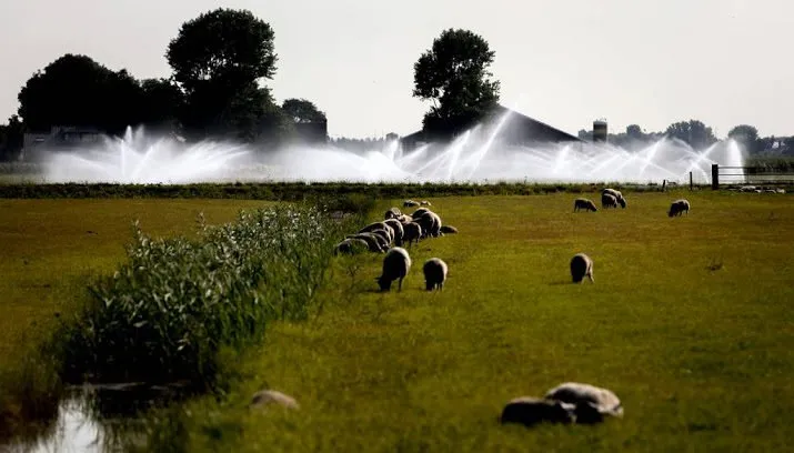 akkerbouwbond vraagt hulp tegen droogte 715x408