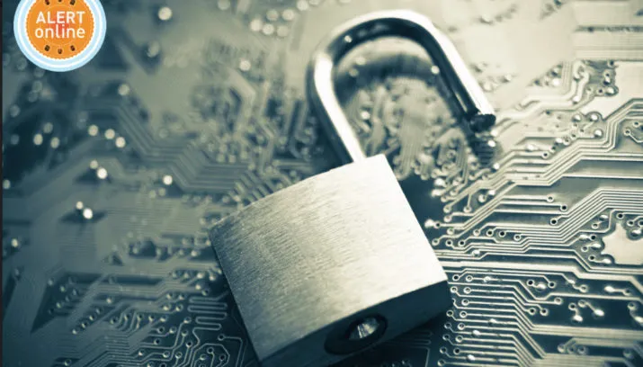 alert online 715x408