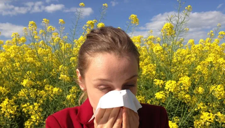 allergy 1738191 1920 715x408