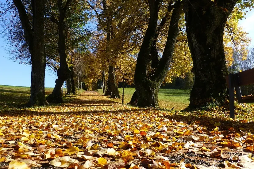 allgau 63427 1280 e1445777747954