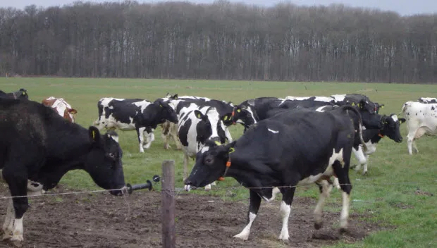 alzd9z2ir5dvpgr72zqzhl9qa personnebos