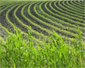 asfrsshcpvicxh001d27eadsw 21211