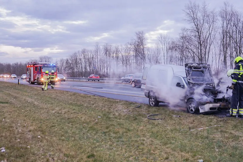 b5fc3c74 67a7 4768 877d 20c95c7d4e74