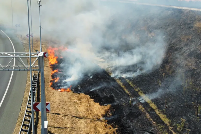 b718fcf8 841c 4821 840a ed7e8c925ef6