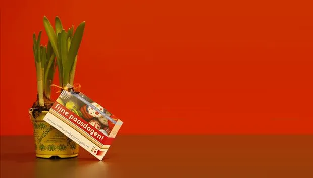 b7xyvu2kqzt81rrny29fjblob koopavond